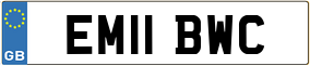 Trailer License Plate